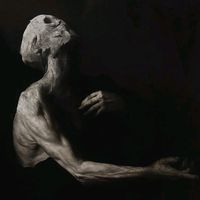 lifelover