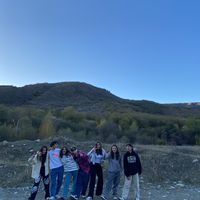 qsbstqvenshipapiromelia