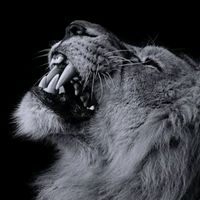 _rajput77