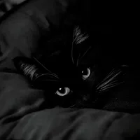 original sound - val_pien