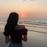user_280505