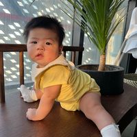 nhạc nền - Xuân Thuỷ Lâu🍃