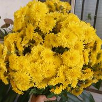 zynab348mrouhe