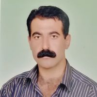 orijinal ses