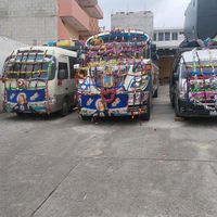 vicentep25