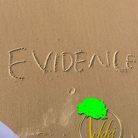 1evidence