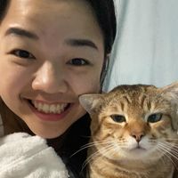 pahn_littletiger