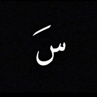 saz_331