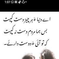 gull_zameen4