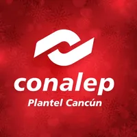 original sound - conalepcancun1