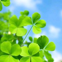 nhạc nền - Công Chúa Nhỏ 🌟🌟🌟