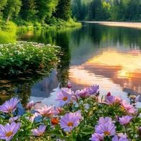 natureza.bella3