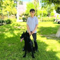 orijinal ses