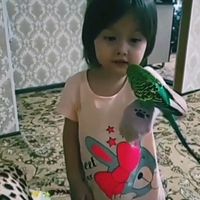 оригинальный звук