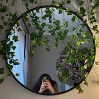 nnergiz22