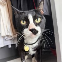 cutiebunnylife