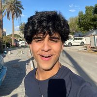 الصوت الأصلي