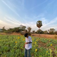 original sound - ❤️‍🔥"ကျောက်ပန်းတောင်းသား🤍1.M