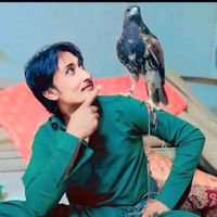 sharif_cholistani