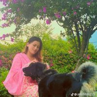 animtmg11