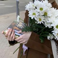 7n_7kr