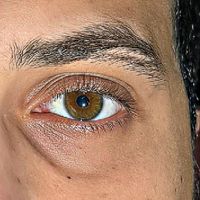 يلي فيكي مغرومين عتب