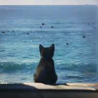 suara asli - Kartika