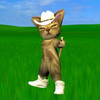 som original - Gato Donato