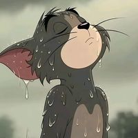tom_el_editor