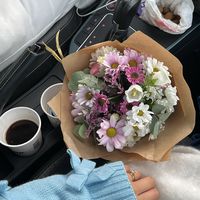 doodi_eng