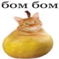 hobbychayning228