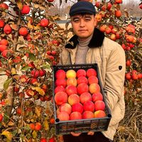 оригинальный звук