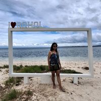 original sound - car tolibas