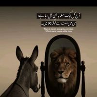 jannat.noor246