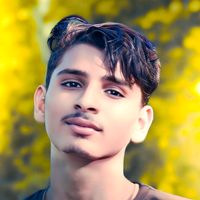 purushottamsharma...0