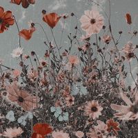 wildflower.writes