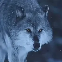 original sound - gnahatelsovori