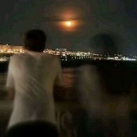 maqa_o49