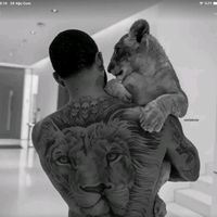 الصوت الأصلي