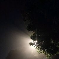original sound - NEXH_21