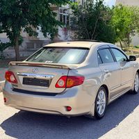 didarr_3330