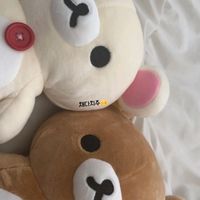 음원 1등시 반무권