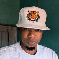 shildizo