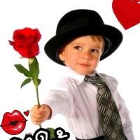 rapinpa_1210