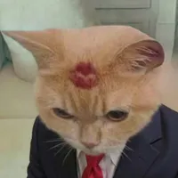 original sound - luistarboy1