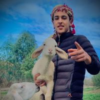 yahia.hd35