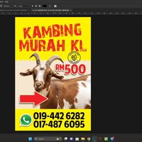 kambingmurahkedah_kl