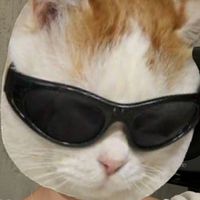 ive_kimutyan