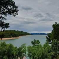 lunn_555