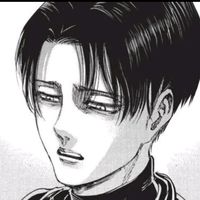 _ff_levi1